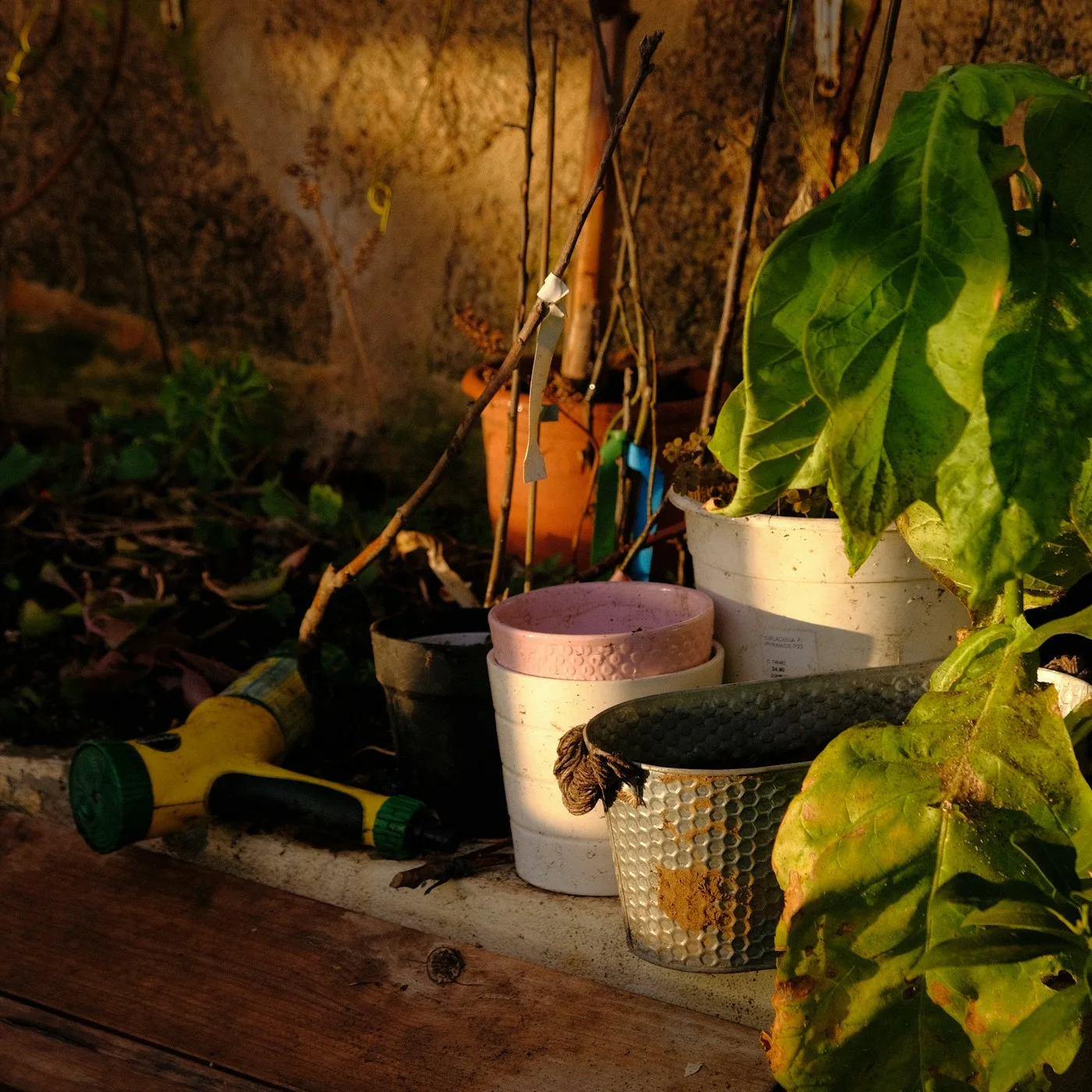 Garden & outdoor product collection