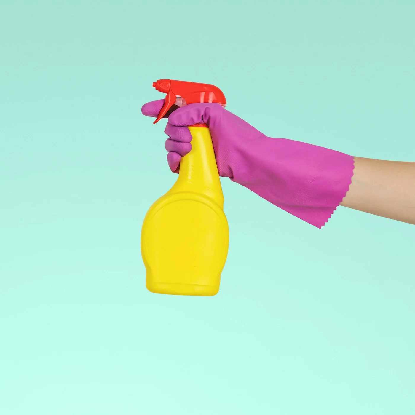 Seasonal & household product collection